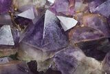 Deep Purple Amethyst Crystal Cluster With Huge Crystals #185429-1